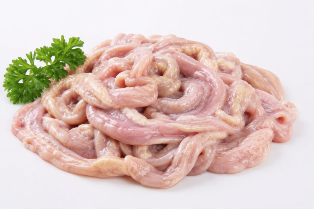 Usus
